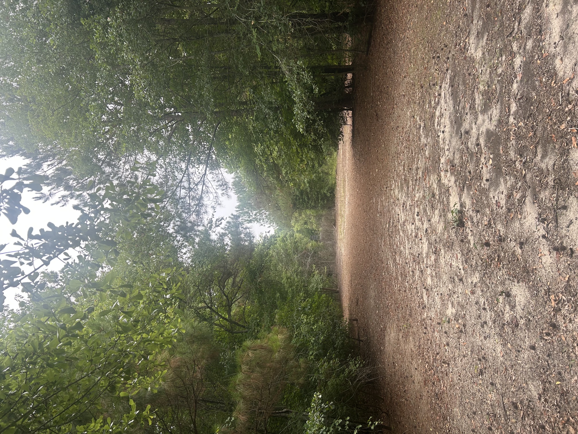 100584000 | Photo 19